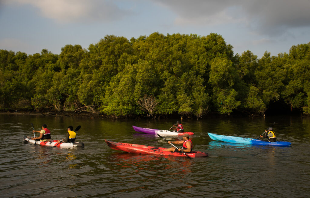 Kayaking In Pondicherry: Price, Timing, Etc. - Pondicherryin